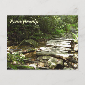 Pennsylvania Wooden Bridge Postcard