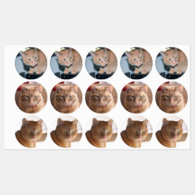 Penny (Sheet)