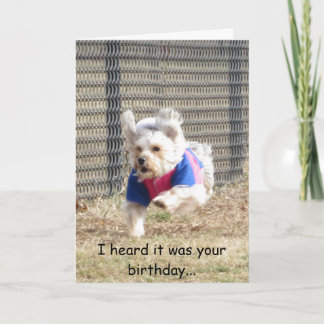 Penny Birthday Card
