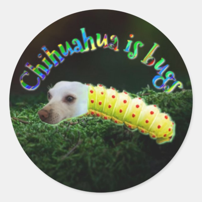 Penny bug sticker (Front)