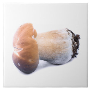 Penny bun ceramic tile