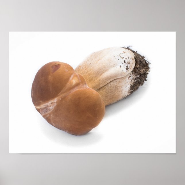 Penny bun poster (Front)