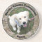 Penny Coaster