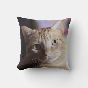 Penny Cushion