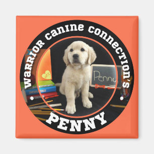 Penny magnet