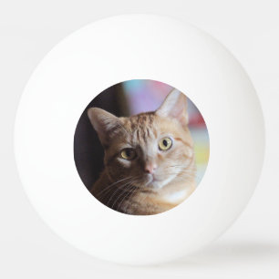 Penny Ping Pong Ball