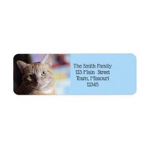 Penny Return Address Label