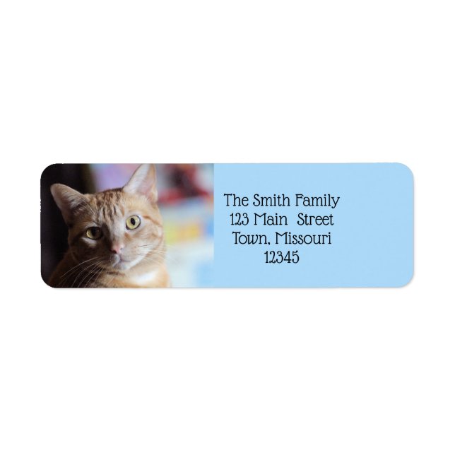 Penny Return Address Label (Front)