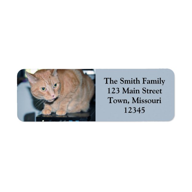 Penny Return Address Label (Front)