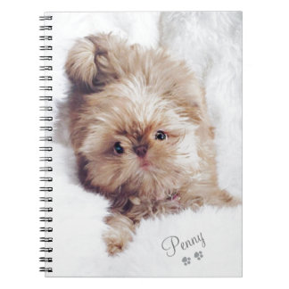 Penny the orange liver Shih Tzu on Cloud 9 tablet Notebook