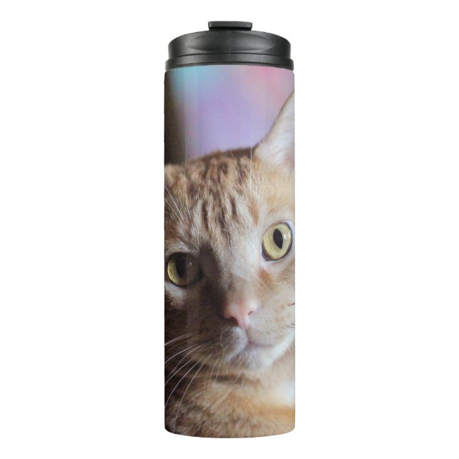 Penny Thermal Tumbler (Front)