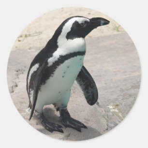 Penquin Sticker