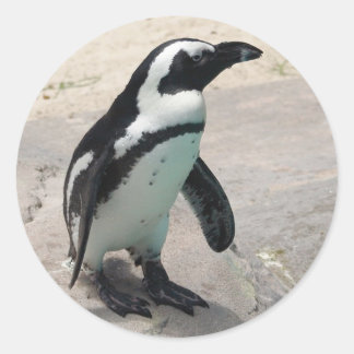 Penquin Sticker