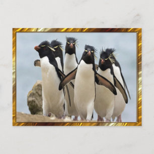 Penquin Walking Postcard