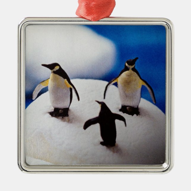 PENQUINS CELEBRATE=CHRISTMAS ORNAMENT (Front)