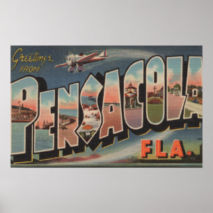 Pensacola, Florida (Aeroplanes) Poster