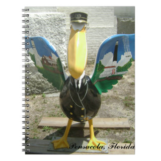 Pensacola Pelican Notebook
