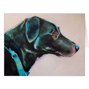 Pensive Black Dog
