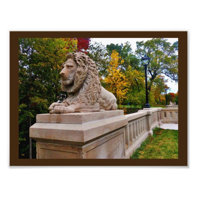 Pensive Lion Photo Print (Front)