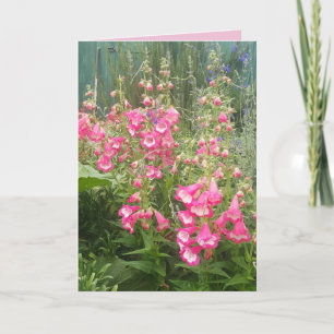 Penstemon Flower Garden floral Happy Birthday Card