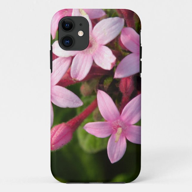 Pentas Case-Mate iPhone Case (Back)