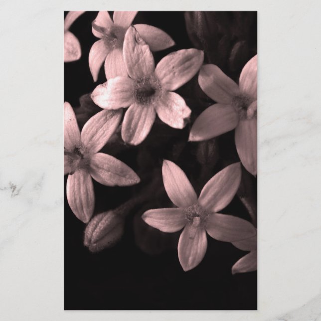 Pentas Stationery (Front)