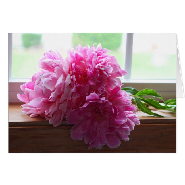 PEONIES (Front Horizontal)