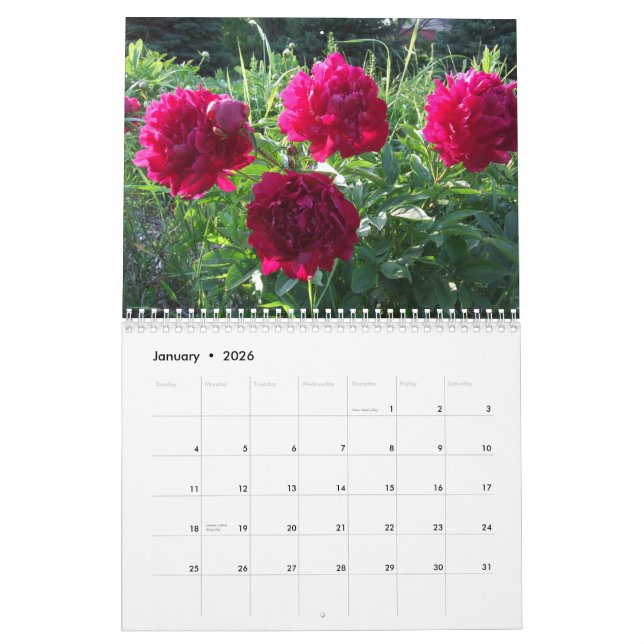 Peonies 2015 Calendar Flowers (Jan 2026)
