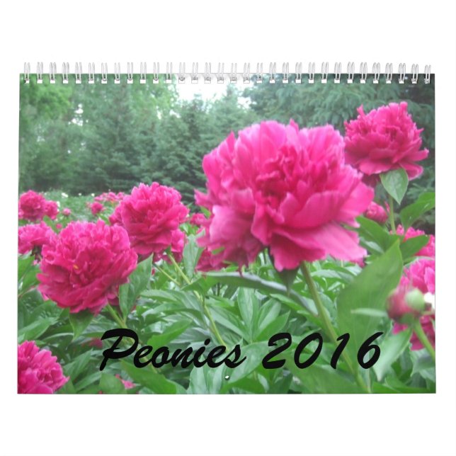 Peonies 2016 Calendar (Cover)