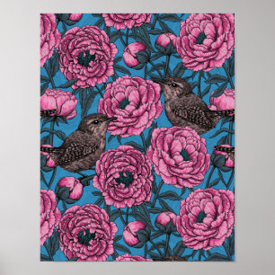 Peonies and wrens on blue poster