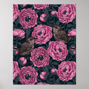 Peonies and wrens on dark grey poster