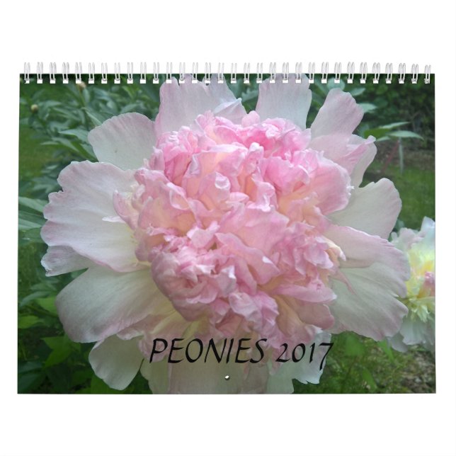 Peonies Calendar 2017 (Cover)