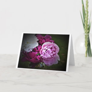 Peonies, card