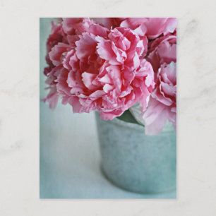 Peonies on the Table Postcard
