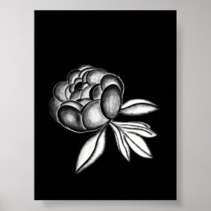peonies pencil drawing poster