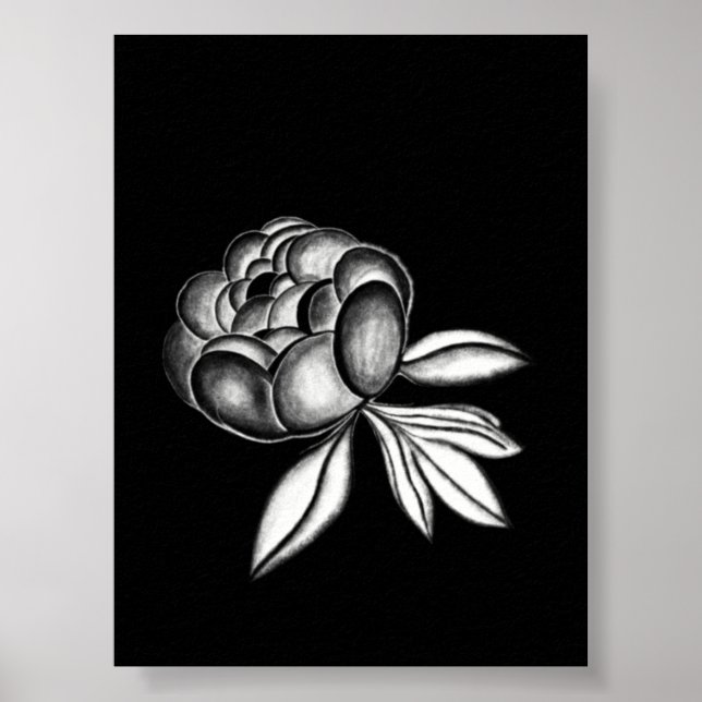 peonies pencil drawing poster (Front)