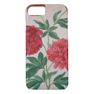 Peonies, plate 46 from the Nassau Florilegium (w/c iPhone 8/7 Case