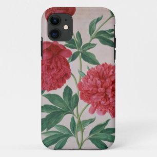 Peonies, plate 46 from the Nassau Florilegium (w/c iPhone 11 Case