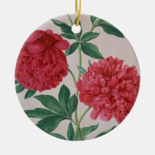 Peonies, plate 46 from the Nassau Florilegium (w/c Ceramic Tree Decoration