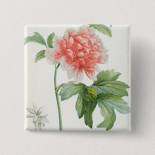 Peony, 1799 (colour stipple print) 15 cm square badge