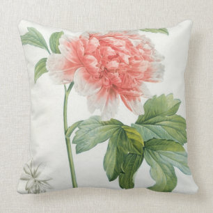 Peony, 1799 (colour stipple print) cushion