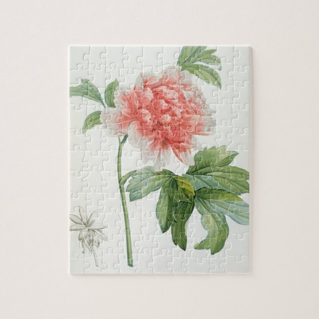 Peony, 1799 (colour stipple print) jigsaw puzzle (Vertical)