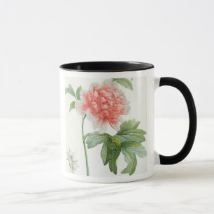 Peony, 1799 (colour stipple print) mug