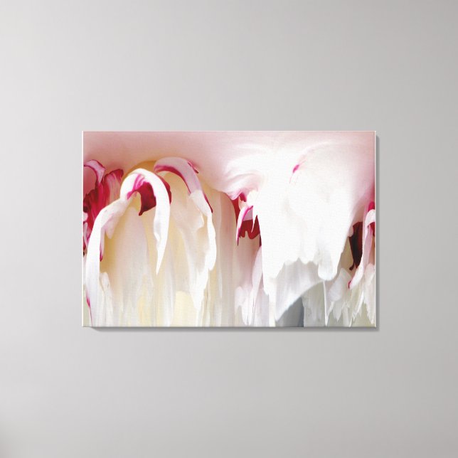 Peony Abstract Canvas Print (Front)