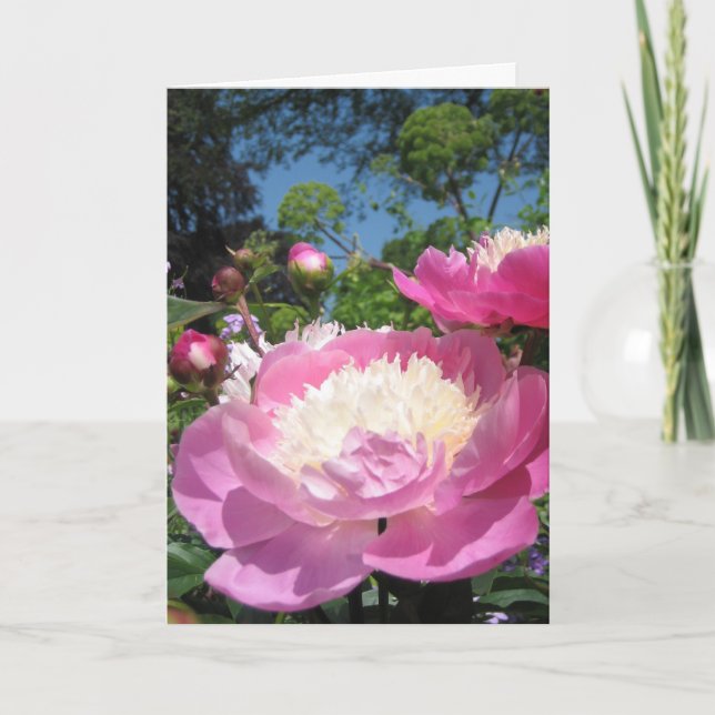 Peony birthday card (Front)