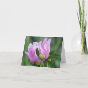 Peony blank card