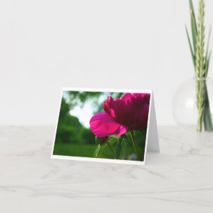 Peony Blank Notecard