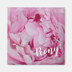 Peony Blossom Rose for flower and garden lovers Magnet