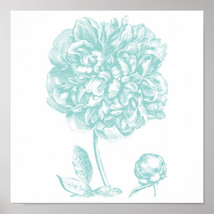 Peony Blue Green Poster