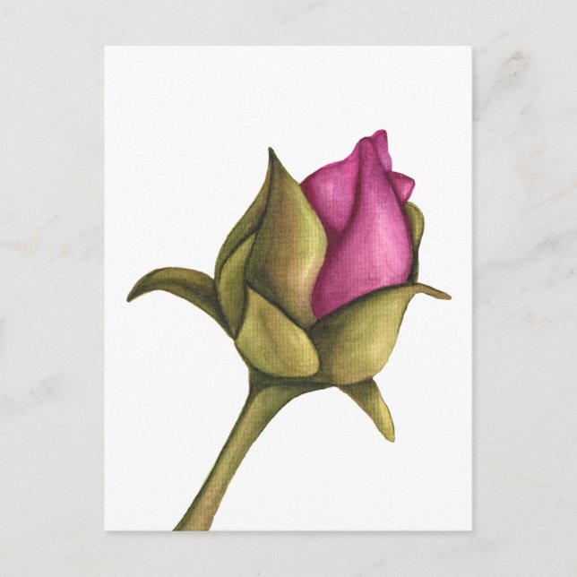 peony bud postcard (Front)